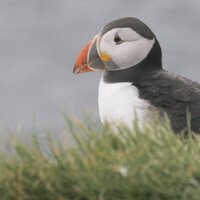 Jeff Humm (@hummjs) 's Twitter Profile