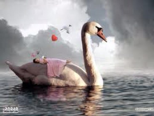 seela25's profile picture.