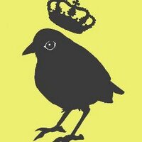 Gretchen Diehl (@birdqueendesign) 's Twitter Profile