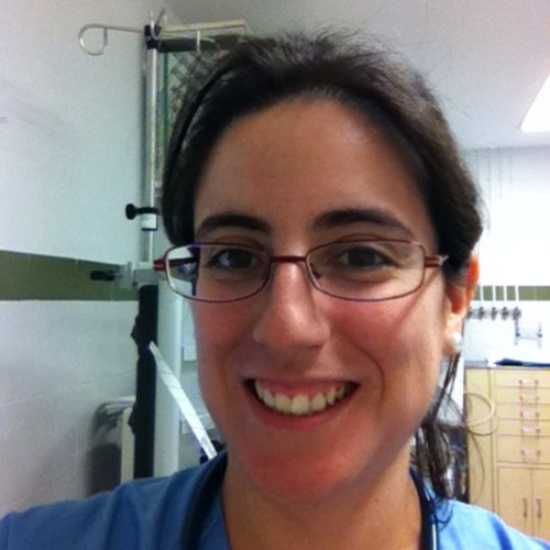 daptocris's profile picture. 