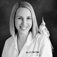 JC Burcham DVM (@burchamdvm) 's Twitter Profile