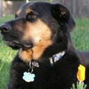 Jonathan Clay - @juangrande - Twitter