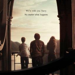 Roses are red, Violets are blue, Insult Harry Potter, We will crucio you.~ || Looking for New co-owners