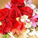 Bella Rose Photo - @PhotoBellaRose - Twitter