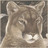 fitimirup's profile image