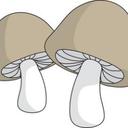 Daniel Bykowski - @mysterio1299 - Twitter