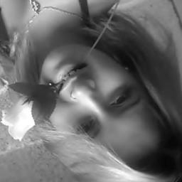 ;*