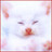 byqotewu's profile image