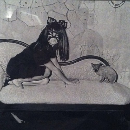 AidaBcn's profile picture. Women and cats will do as they please, and men and dogs should relax and get used to the idea.
- Unknown