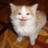 MoraJolxeyn's profile image