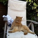 jan jaap de Ruiter - @bjjderuiter - Twitter