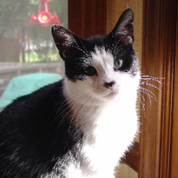 Kathy Buckley (@kathyb5783) 's Twitter Profile Photo