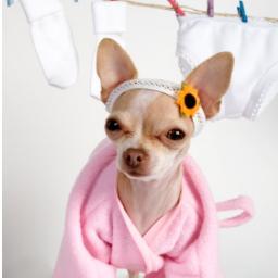 CreativeFollow's profile picture. Me gustan los animales. Disfruto de la vida día a día ya que nunca sabes que pasará, Sígueme no te defraudaré. #FollowBack