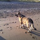 Kay Storey - @kaystorey - Twitter