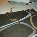 david guy - @Daveg3019David - Twitter