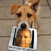 fernando camacho (@truemetalindian) 's Twitter Profile Photo fernando camacho (@truemetalindian) 's Twitter Profile Photo
