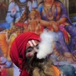 DrummondDro's profile picture. Tweeting about cannabis, the drug war, freedom and spirituality! #drugwar #hemp