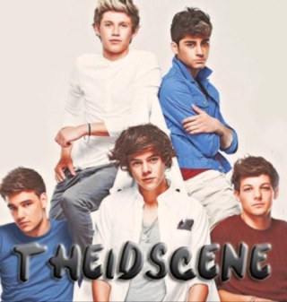 I'm a #TrueDirectioner and a #Belieber and if u follow I'll follow back I promise love ya! x ;)