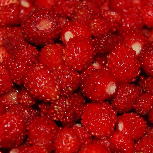 miishenka's profile picture. 