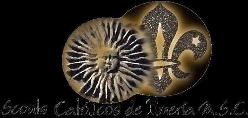 Twitter Oficial de Scouts MSC Almería