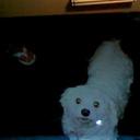 Pauline Collier - @PaulineCollier1 - Twitter