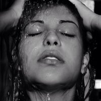 とんきち (@thanchan713) 's Twitter Profile Photo