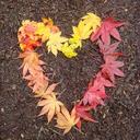 Fortune Brown - @fortunebrown - Twitter