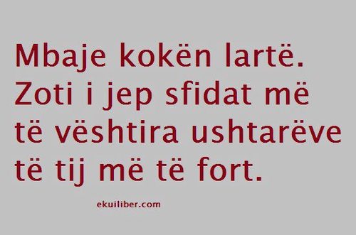 ERALDDUSHI's profile picture. 