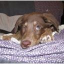 Kim Marinelli - @KimMarinelli1 - Twitter