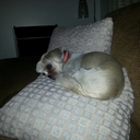 Leslie McKinnon - @McKinnonLeslie - Twitter