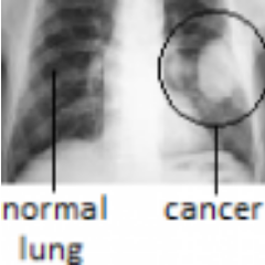 st_tala's profile picture. praticien de santé sociale, directeur général de FESIDEV