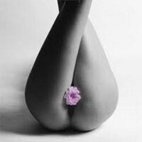 Themis (@themis3_14) 's Twitter Profile Photo