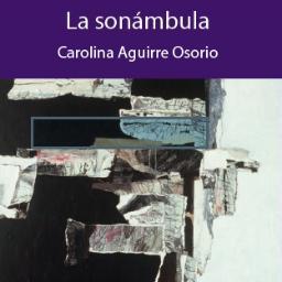 Soy un libro. Siete cuentos. Un deseo. Un estado. El desvelo.