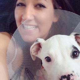 mcstina's profile picture. tweet tweet