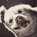 Dylan carney - @dylancarney_ - Twitter