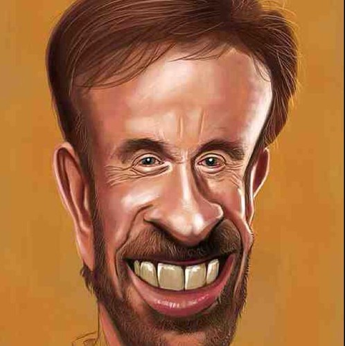 SirChuckNorris_'s profile picture. Follow me if you need entertainment !