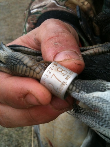 dipin,hunting,and chasin women that's Texas for ya