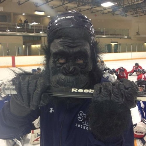 Coach, Teacher at STM Hockey Academy