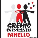 O Grêmio é a organização que representa os interesses dos estudantes na escola. Ele permite que os alunos discutam, criem e fortaleçam Várias IDÉIAS \o/