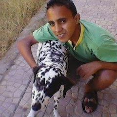 ( No body ) is perfect i am (No body)