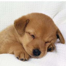 LouisTang5's profile picture. 