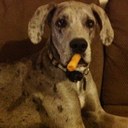 Nicholas Hedrick - @HedrickN - Twitter