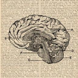 A #transmedia blog built to cultivate a culture of curiosity. Often alliterative tweets by information utopian @dangerbui.