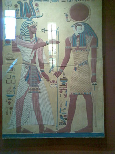 ocnnor1's profile picture. 