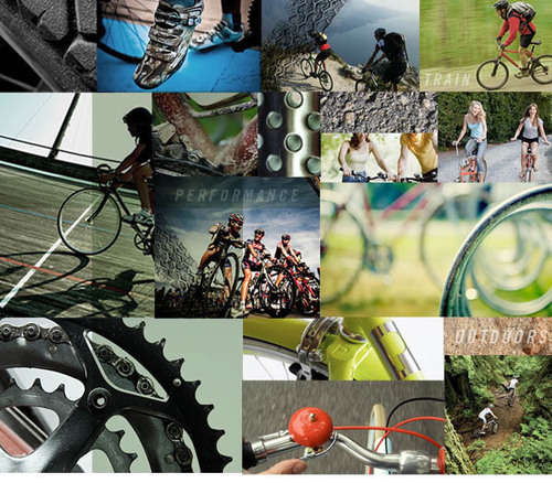 The bicycle is a curious vehicle. Its passenger is its engine...........We Gather CYCLE statistics to help us design advanced products for the future of Cycling