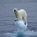 ricky sampson - @rickysampson0 - Twitter