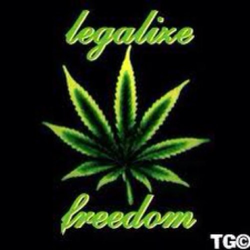 #Marijuana #LegalizeIt #StonerNation #LegalizeFlorida #StonerFam