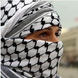 eslambialy's profile picture. 