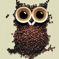 Mira Najdovska (@miranajdovska) 's Twitter Profile