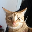 Inès Troché - @InsTroch - Twitter